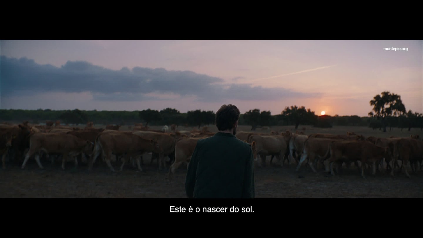 a man in the countryside seeing animals