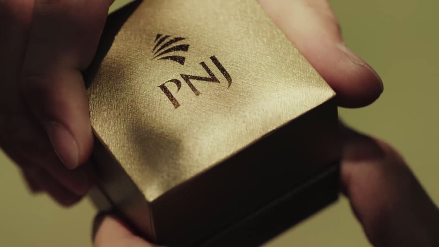 PNJ True Love Video