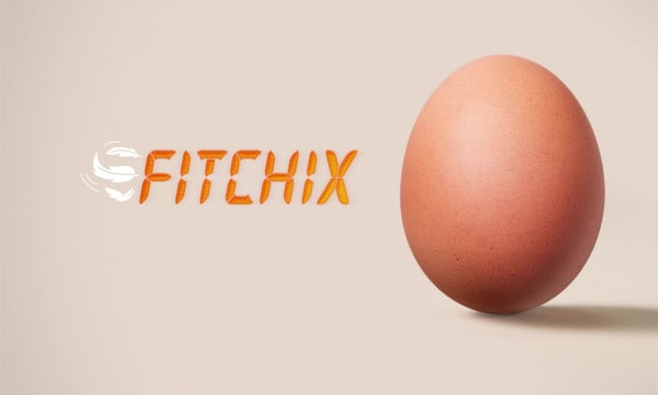 15 honest eggs fitchix case study 1080p