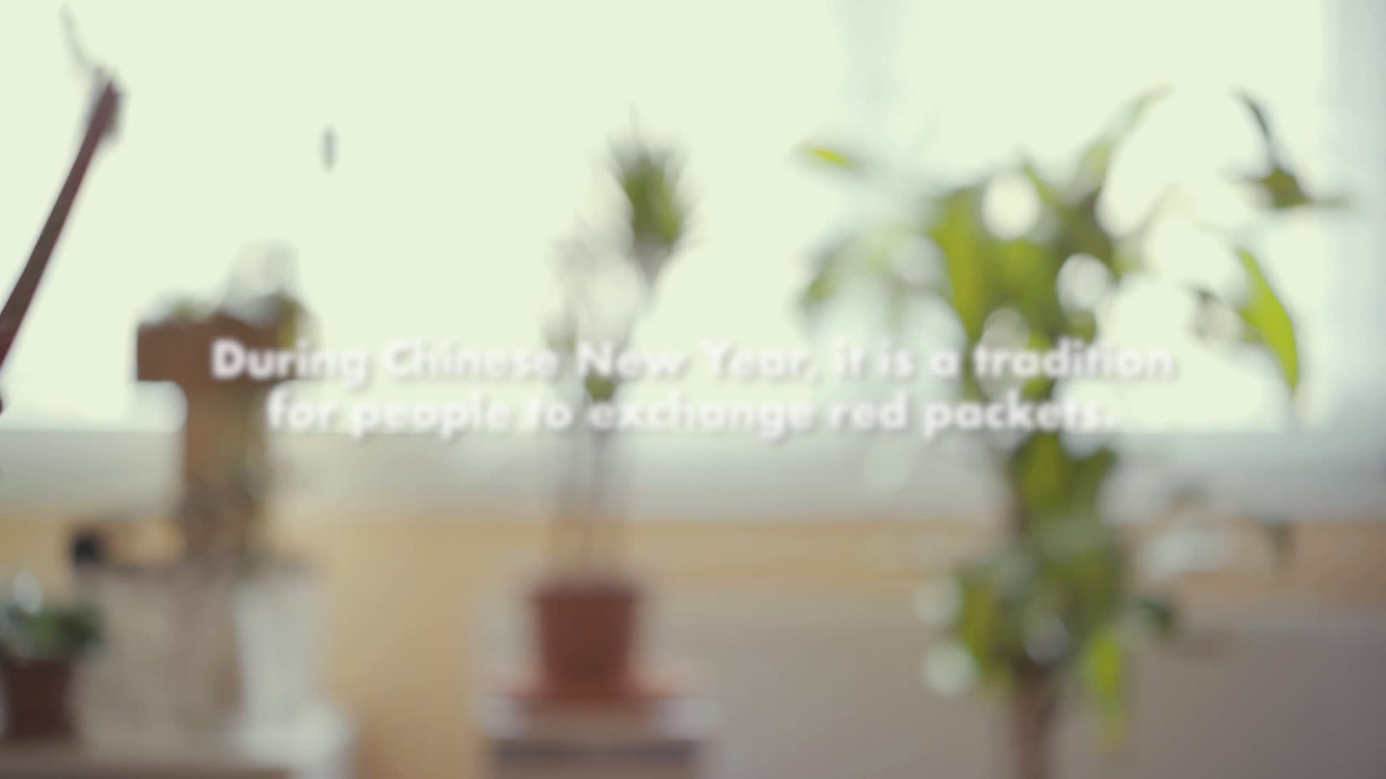HK WT com STC red pocket demo video 2019 VF