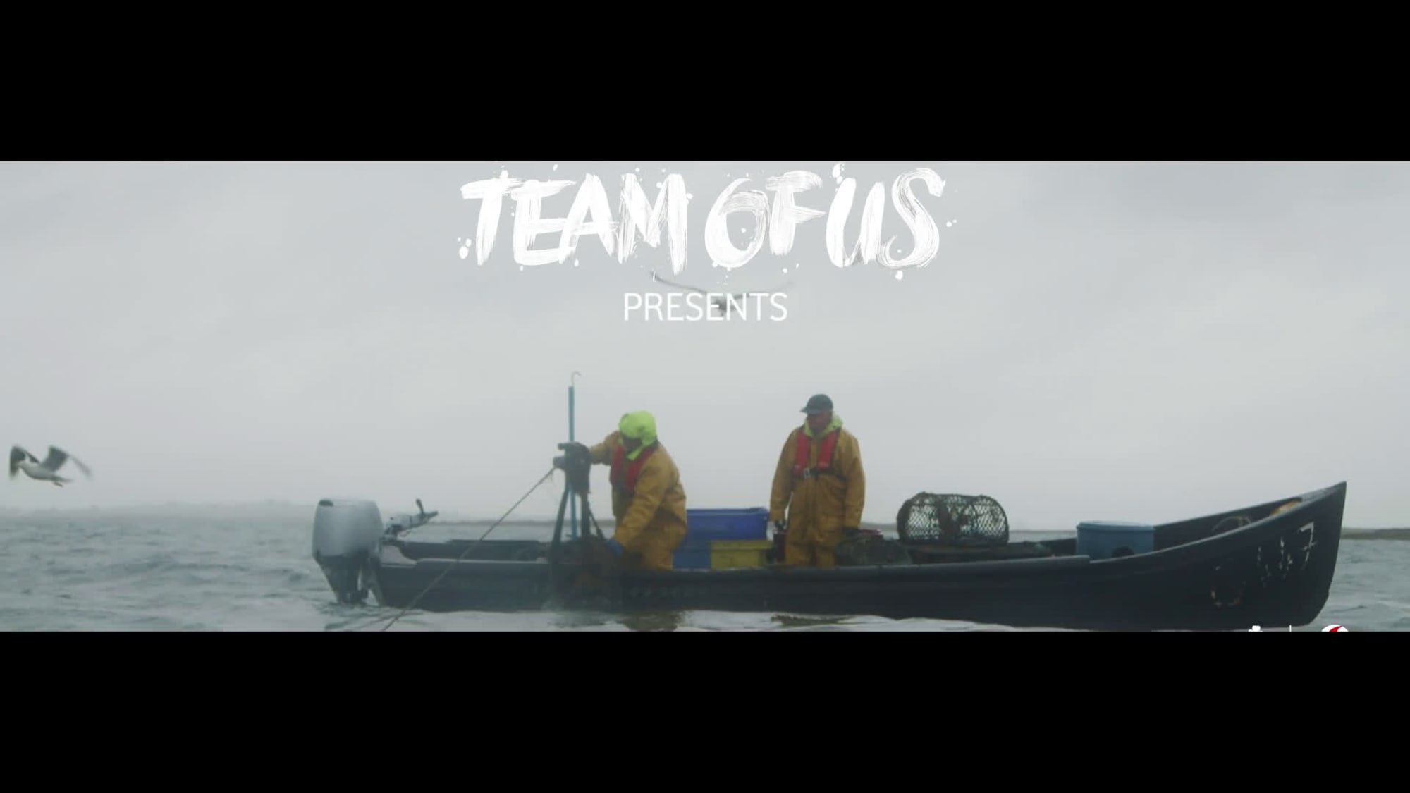 Folk Wunderman Thompson WORK Irelands Ball