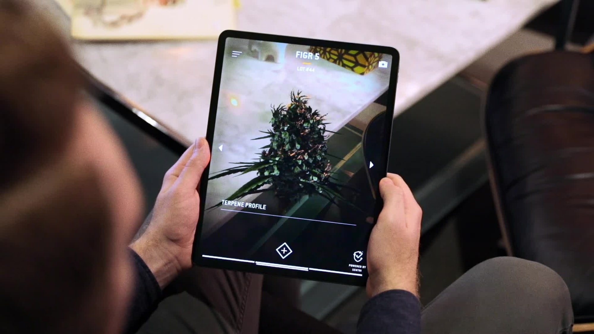 Canada WORK Budtender video