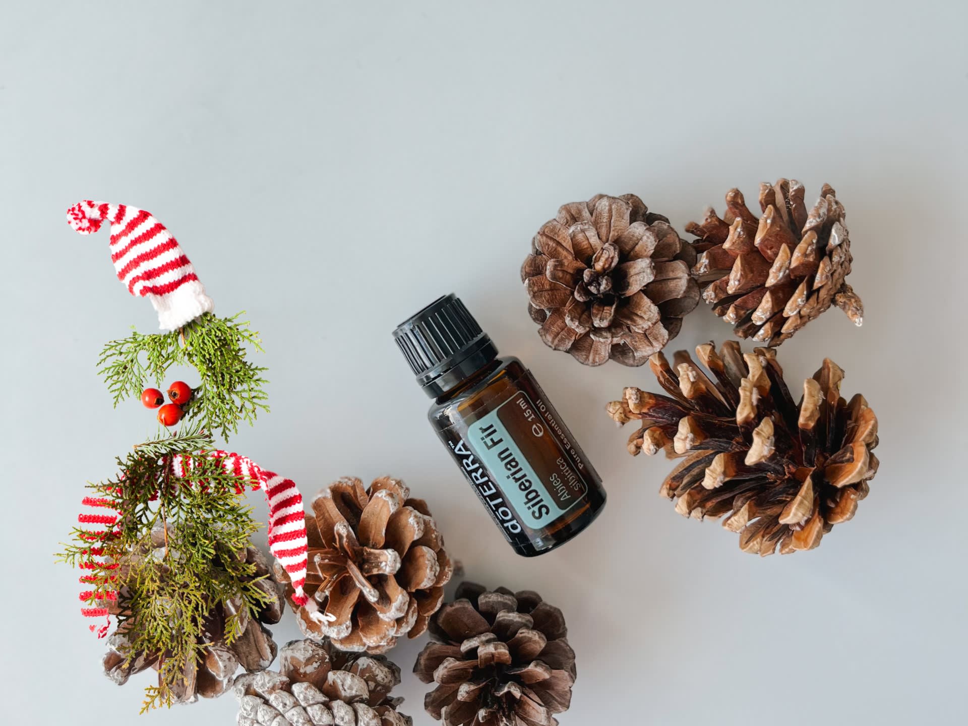 doTERRA Szibériai fenyő olaj