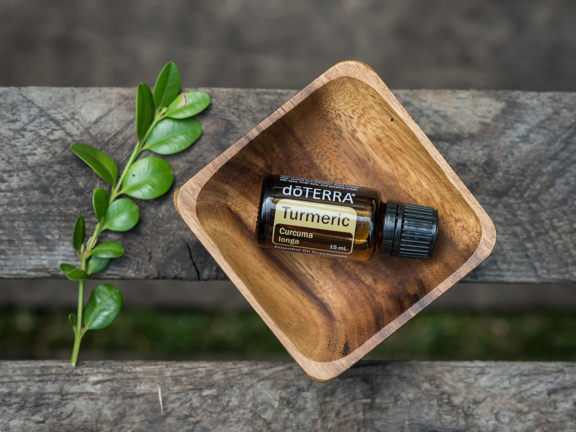 Curcuma Longa Turmecir Kurkuma esszencális olyaj - doTERRA