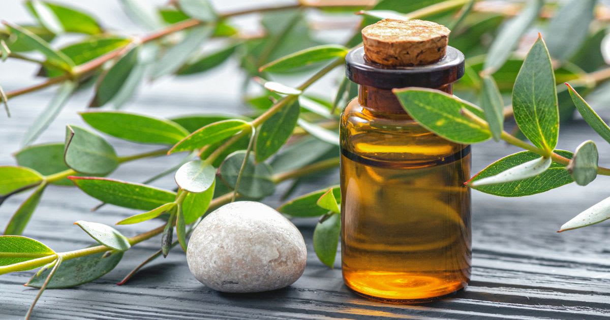 eukaliptusz illóolaj megfázás ellen