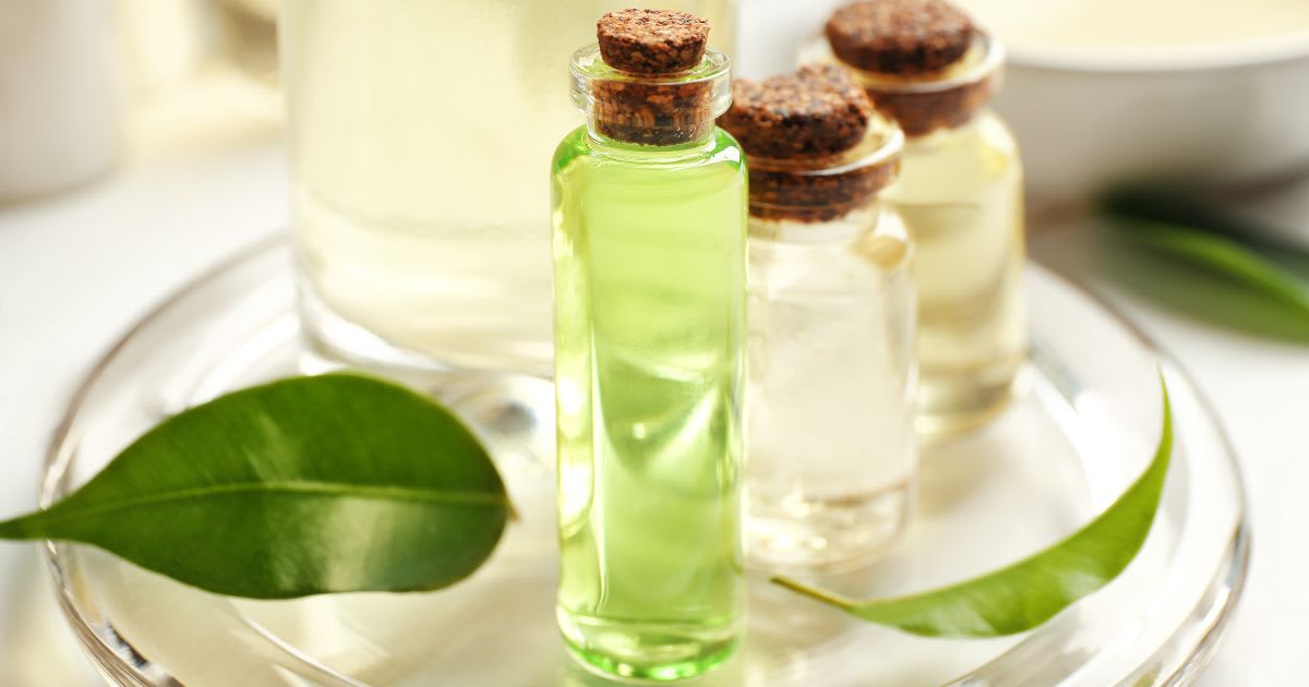 teafa illóolaj megfázásra