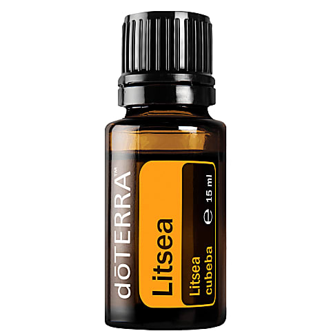 Litsea