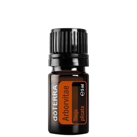 doTERRA Óriás tuja