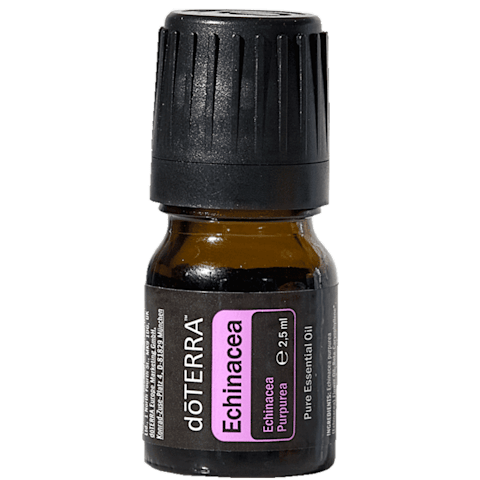 Echinacea