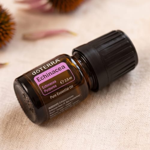Instagram ECHINACEA – ahogy még...