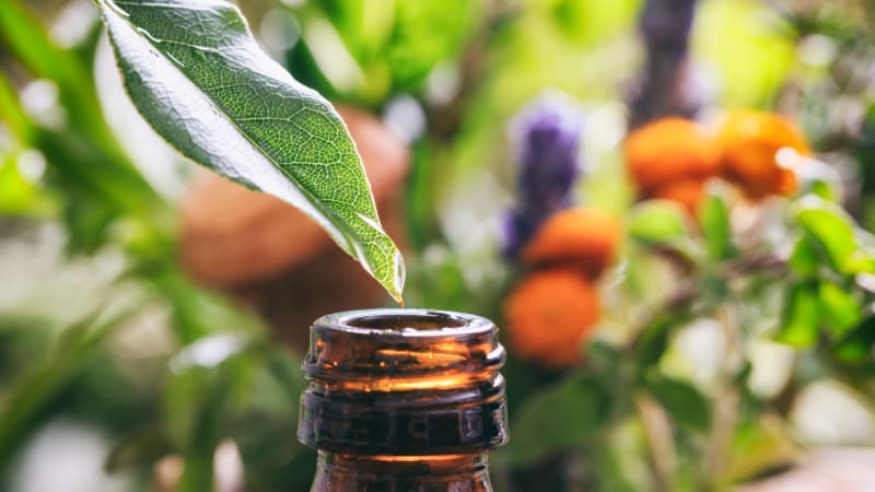 Illóolajok az egészség szolgálatában: a természet ereje