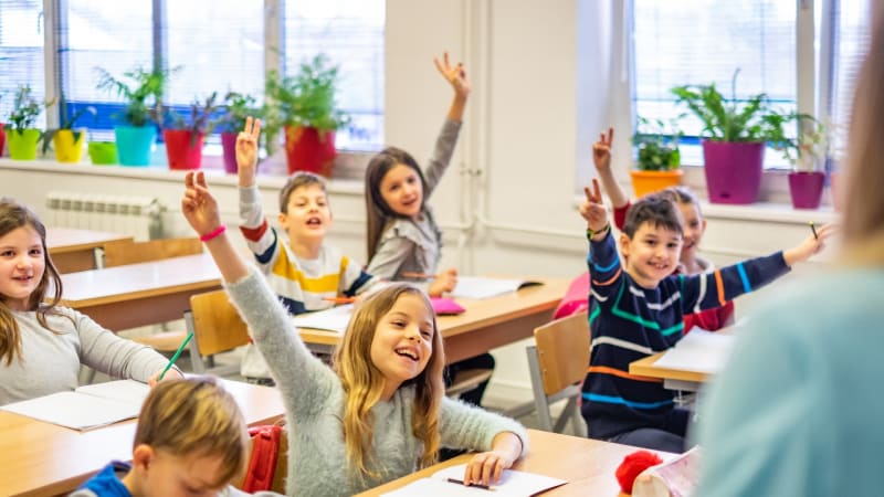 Harmónia a bölcsitől az iskoláig