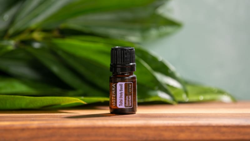 Tulsi avagy a Szent bazsalikom