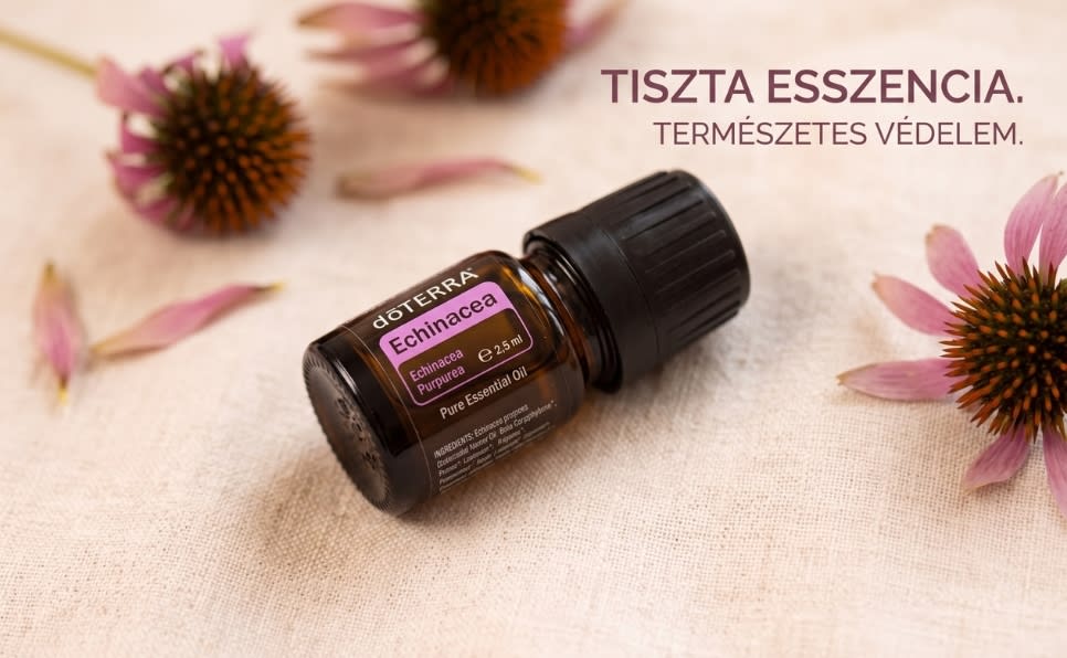 Echinacea esszenciális olaj