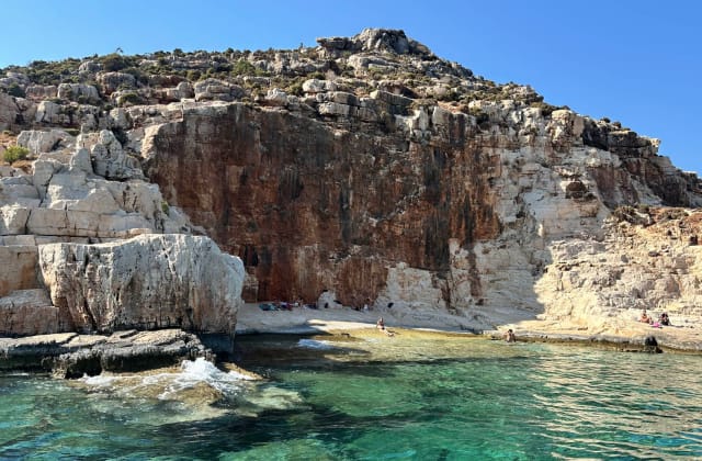 Plakes (Swimming Rocks)