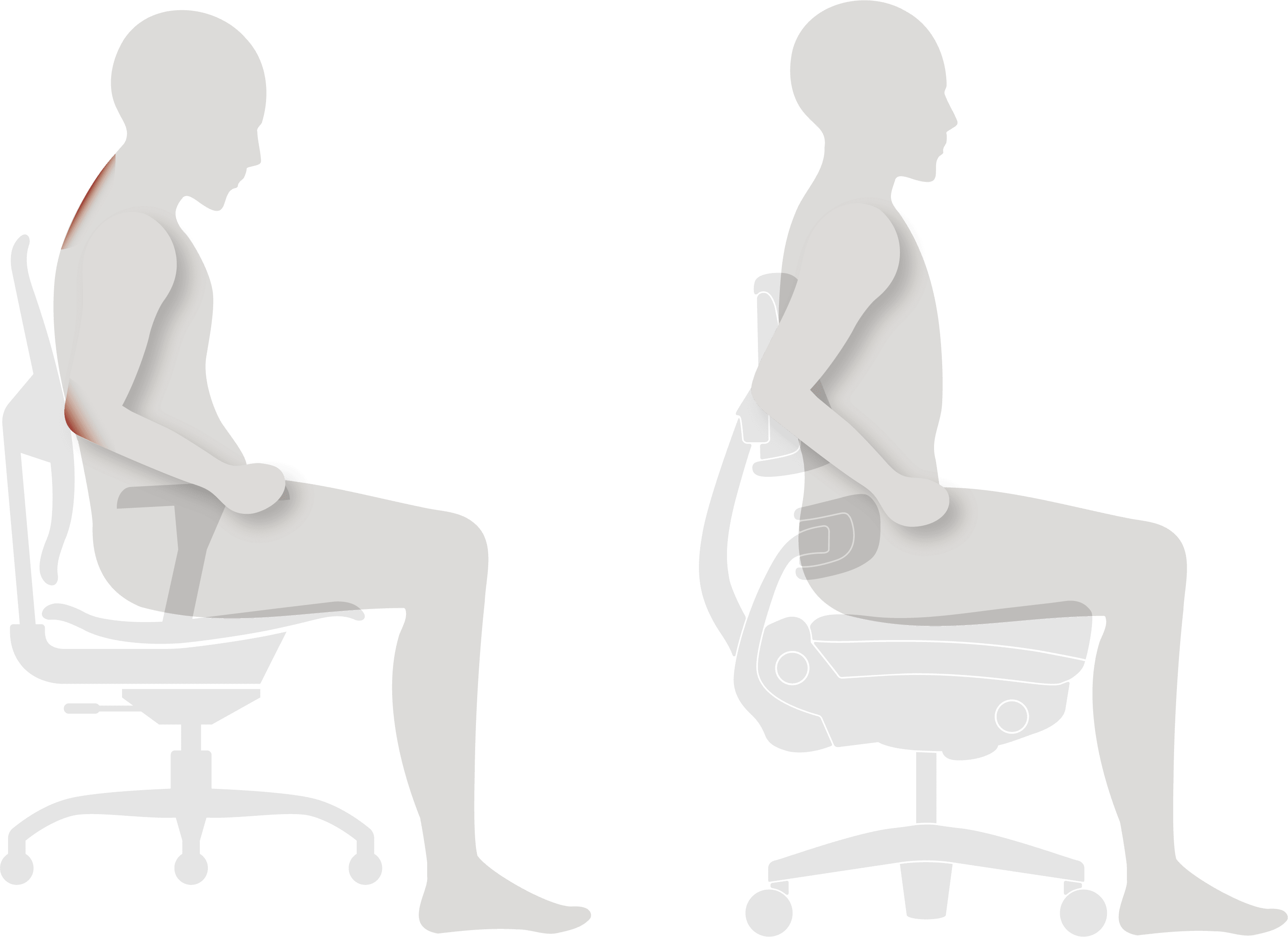 BackComparisonwithArms copy