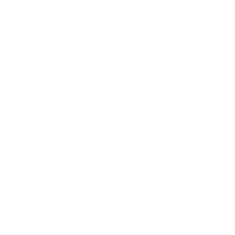 Icon2_DualDensityFoam