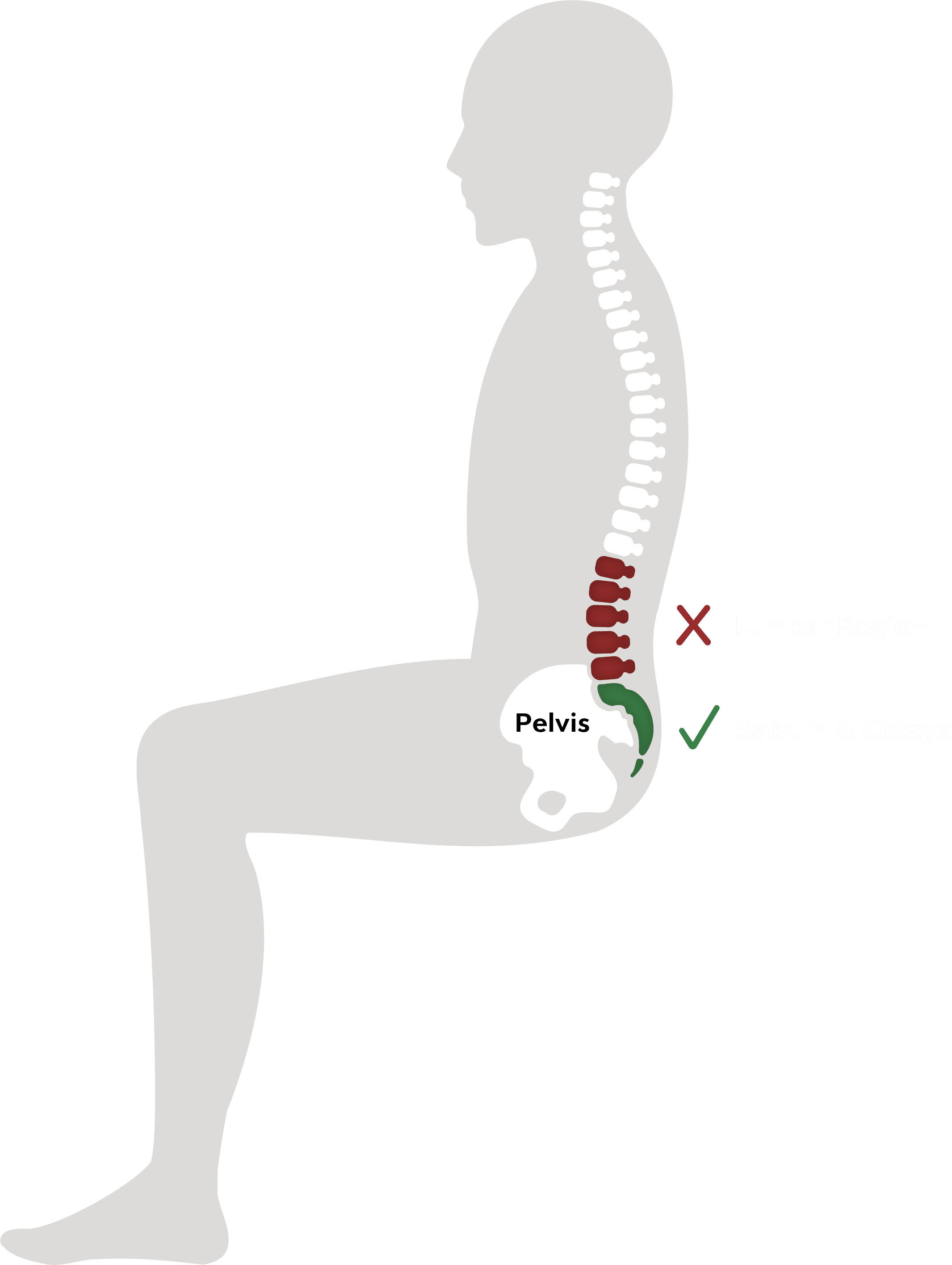 SupportPelvisNotLumbar_White