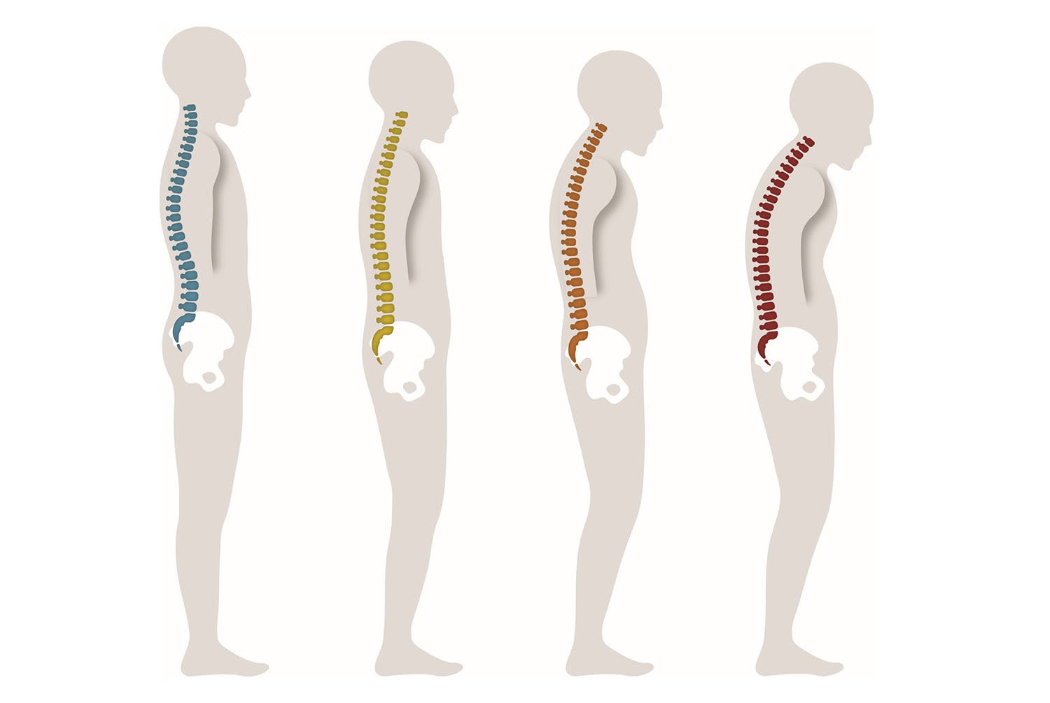 Preview image for The Reality Check on Aging and Ergonomic Office Furniture