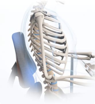 back-while-sitting-on-anthros-chair