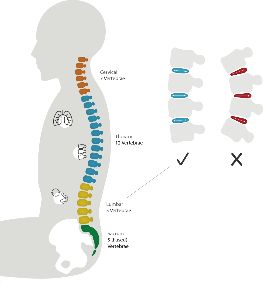 backbone-diag-with-labels