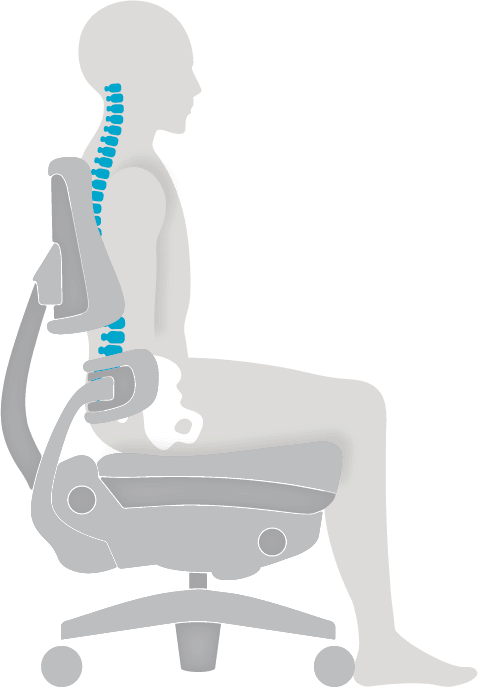 best_posture_outline