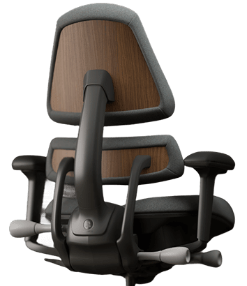 disc-degeneration-mob-img4-new