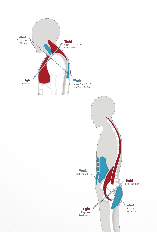 img1-Jan-21-2023-11-58-43-8431-AM