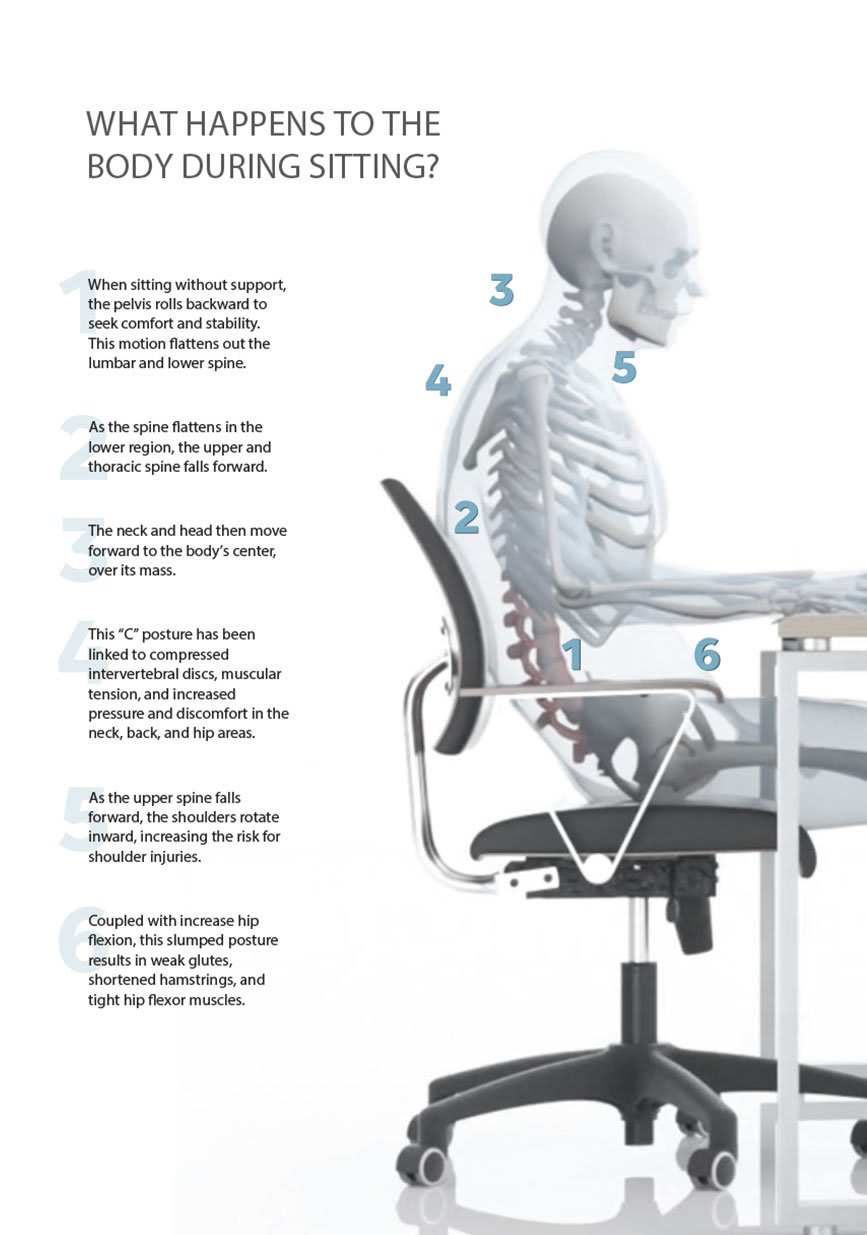 Preview image for The ROI Of Investing In The Best Office Chair