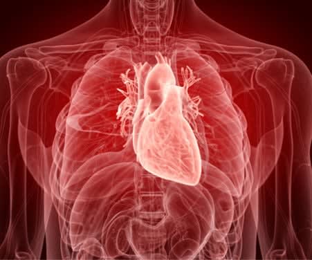 Preview image for How Poor Posture Can Cause Death