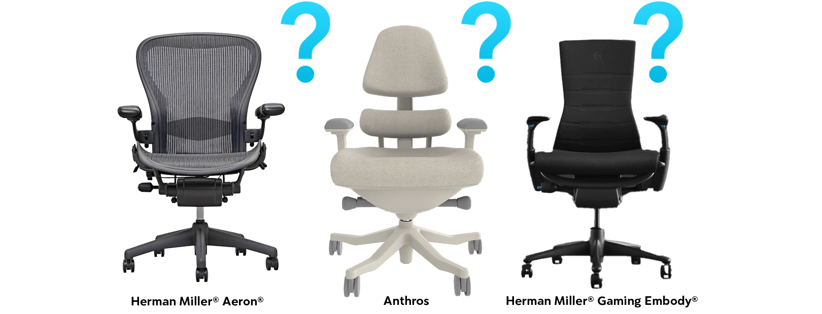 multi-chairs-with-question-marks-arm4