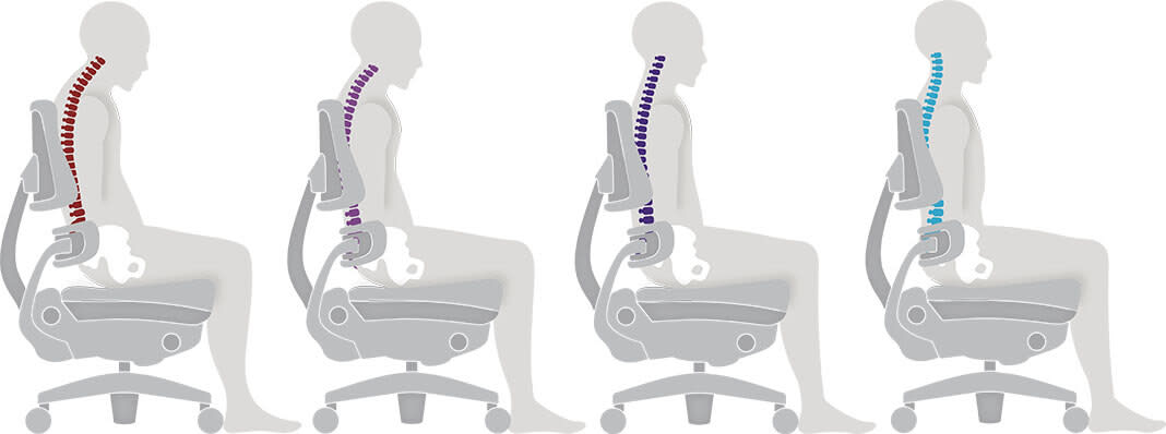 posture-function