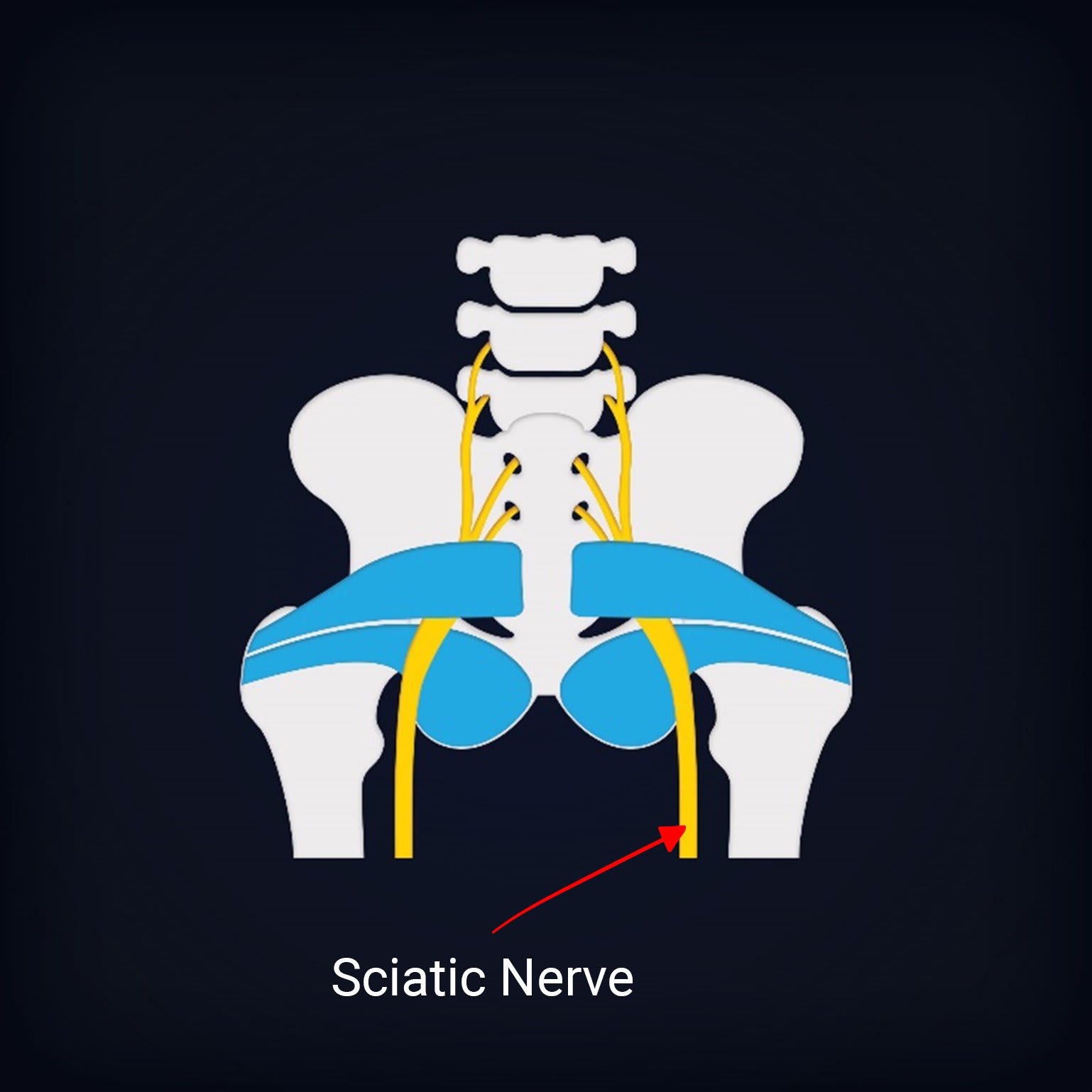 Preview image for Causes of leg pain when sitting