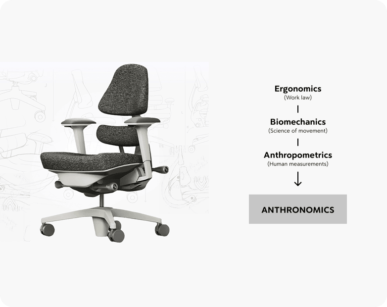 Anthronomics