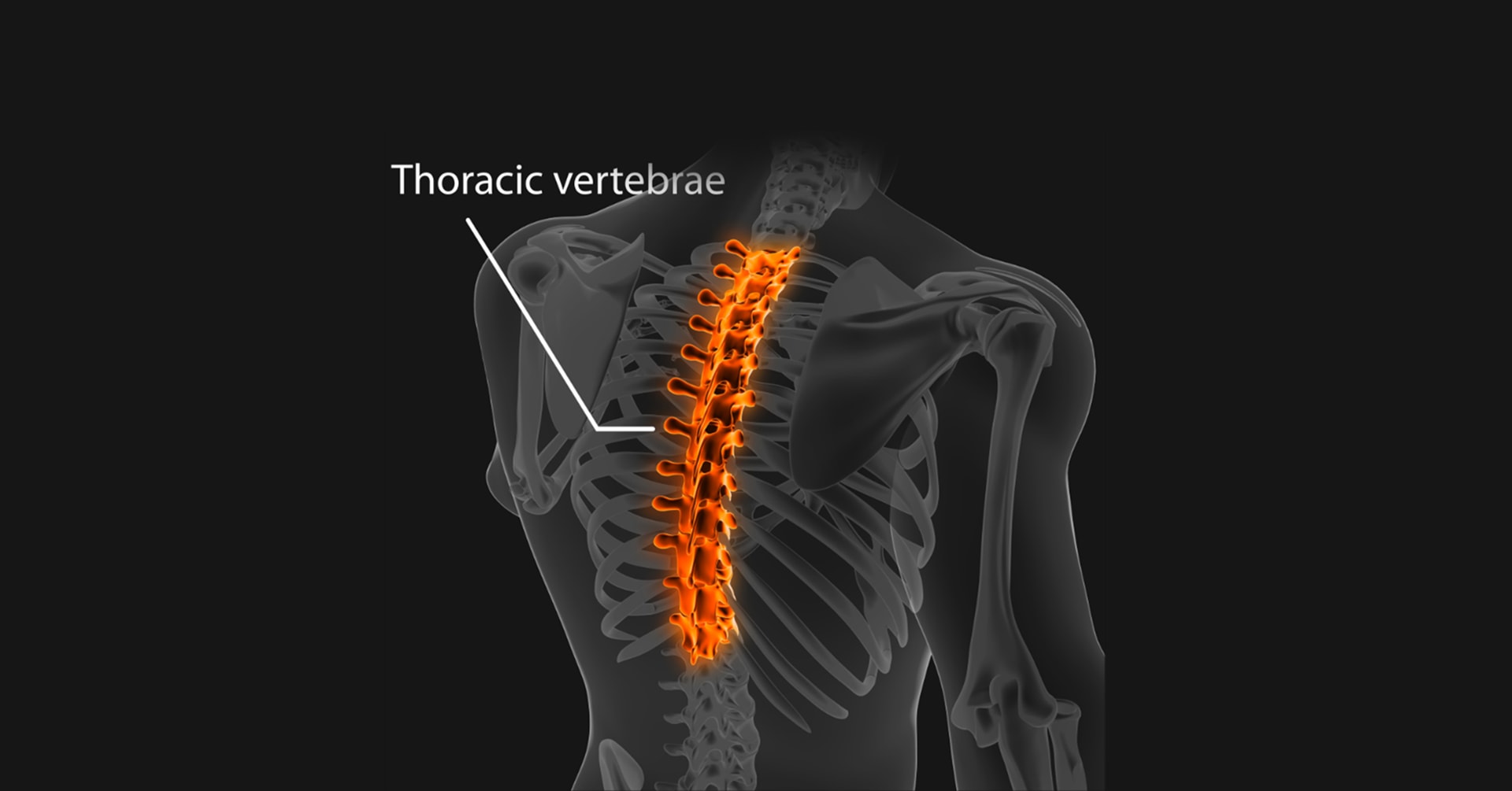 Preview image for Thoracic Decompression: The importance of sitting posture