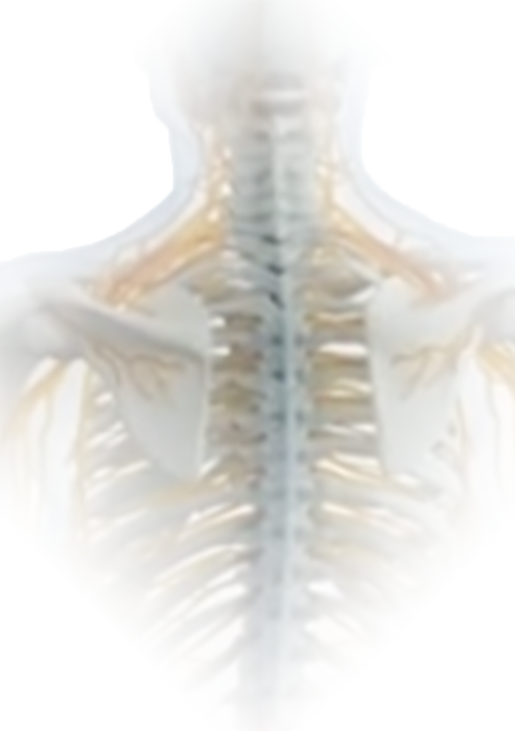 GeneralUpperBackPain
