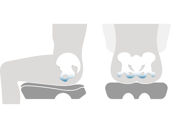 Pelvic