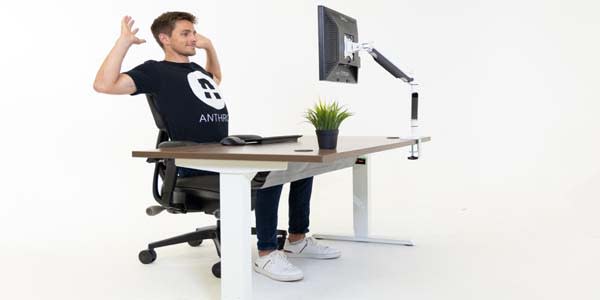 Preview image for What’s the Difference? A Scientific Look at Tilt vs. Recline