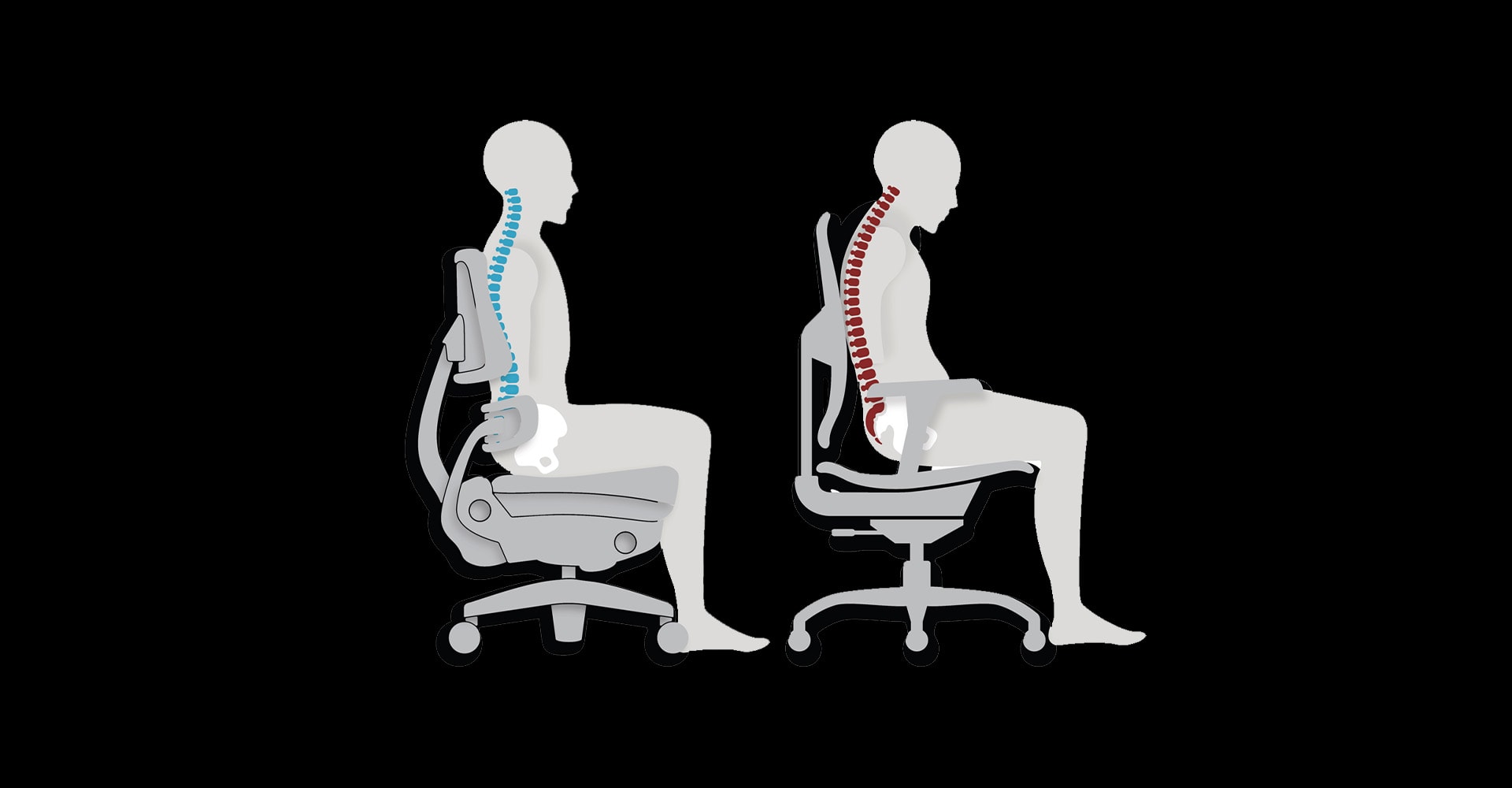 Preview image for What is Best? Pelvis Support vs. Lumbar Support