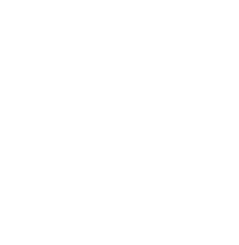 conclusion-icon-1