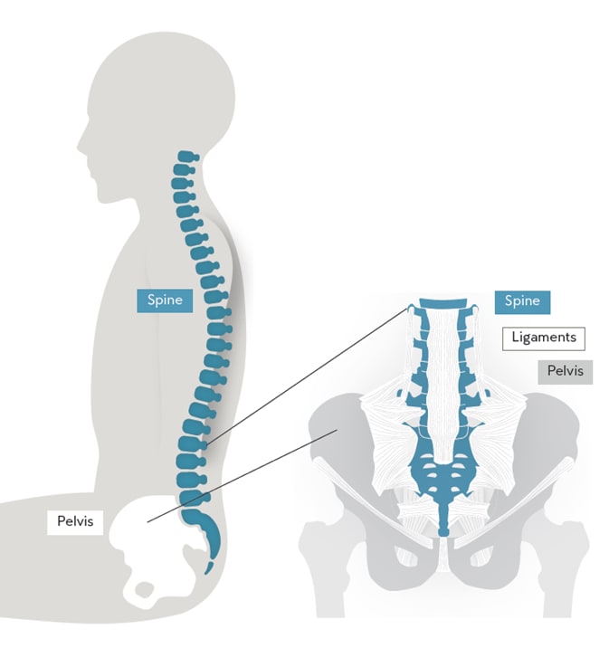 Preview image for Is Lumbar Support Good For Your Back?