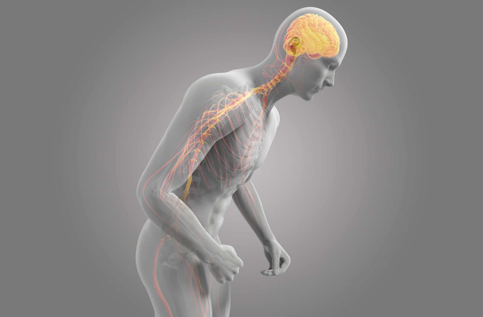 Preview image for Poor posture and the central nervous system
