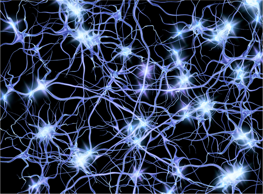 nerve-mesh