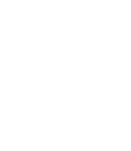 Slide 4 Icon