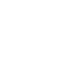 Slide 5 Icon