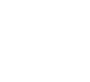 Slide 7 Icon