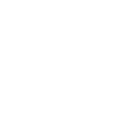Slide 8 Icon