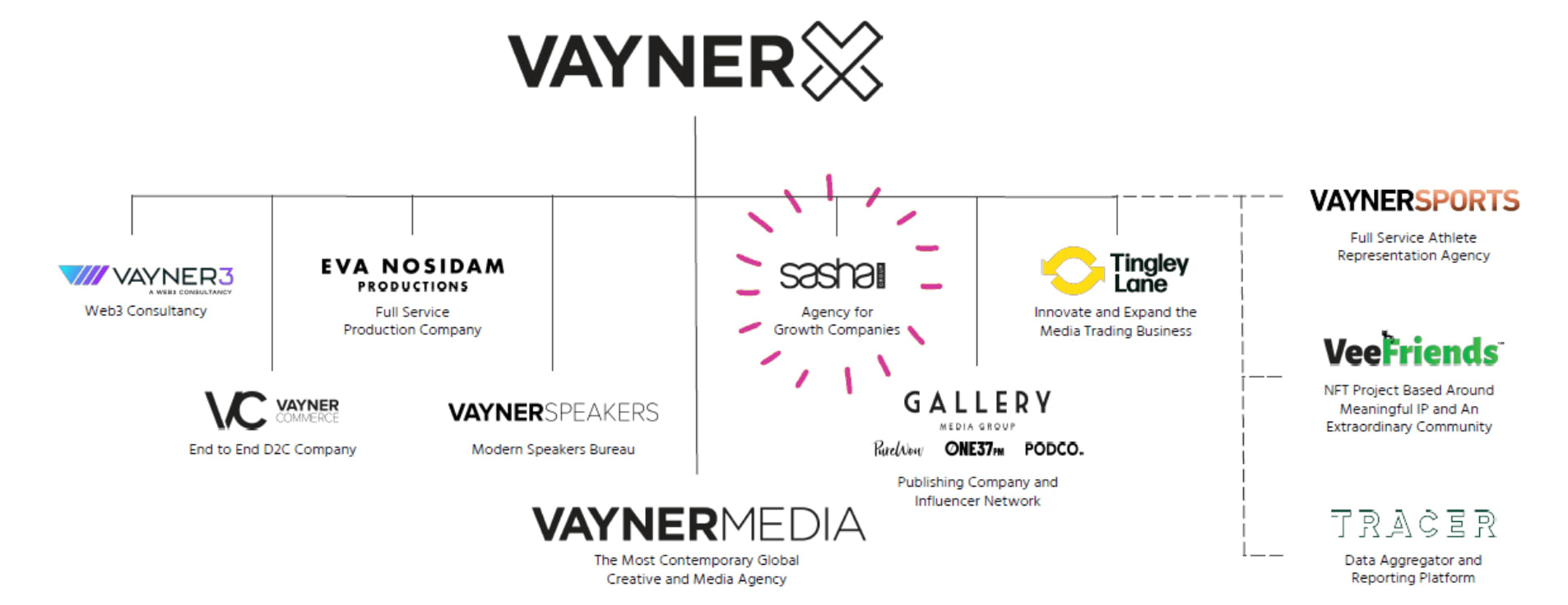 vaynerx-img