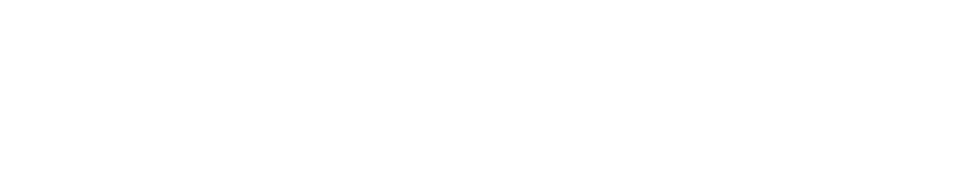 Wired Logo