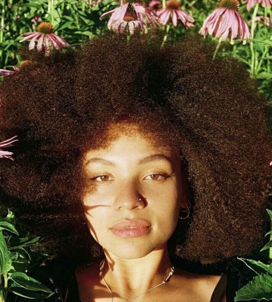 Ezri analoog